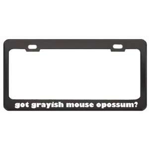 Got Grayish Mouse Opossum? Animals Pets Black Metal License Plate 