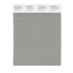  Pantone 16 4703 TCX Smart Color Swatch Card, Ghost Gray 