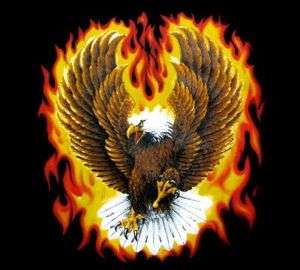 AMERICAN EAGLE IN FLAMES BIKER PATRIOTIC T SHIRT WS100  