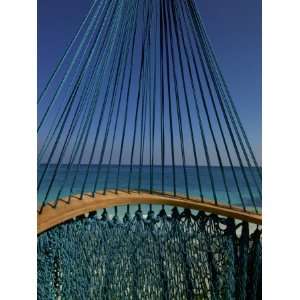  The Turquoise Caribbean Sea Viewed Through Turquoise Hammock 