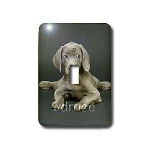  Dogs Weimaraner   Weimaraner Puppy   Light Switch Covers 