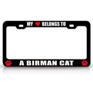  MY HEART BELONGS TO A BIRMAN Cat Pet Auto License Plate 