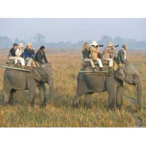 Elephant Back, Tourists in Kaziranga National Park, Assam State, India 
