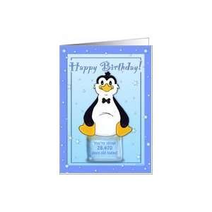   78th Birthday   Penguin on Ice Cool Birthday Facts Card Toys & Games
