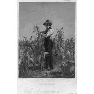  Agriculture,Robert Hinshelwood,Sidney Mount,farmer