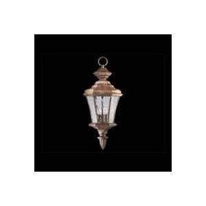  7608   The Graham Family Outdoor Pendant