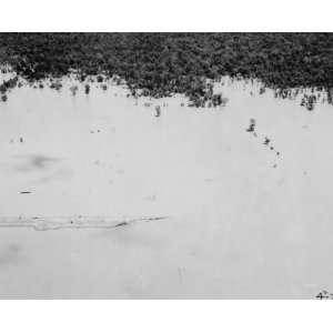   levee. McCrea, La., on the Atchafalaya River crevasse.