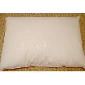  White Goose Down Feather Pillows Queen Size in Beige, Set 