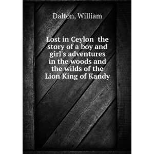  Lost in Ceylon the story of a boy and girls adventures in 