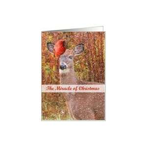  Christmas, From Vet Deer Stands in Snow With Red Cardinal 