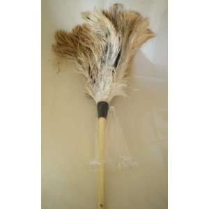  Genuine 24 Ostrich Feather Duster