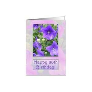  Happy 80th Birthday, Purple Floral Card Toys & Games