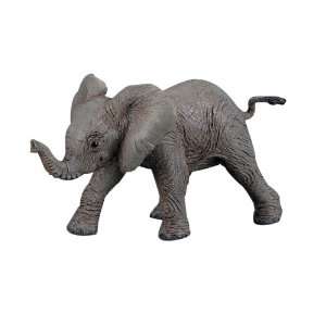  Vanishing Wild Elephant Baby Toys & Games