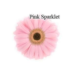  Sparklet Pink Gerbera Daisies   72 Stems Arts, Crafts 