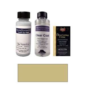  2 Oz. Planet Gold Metallic Paint Bottle Kit for 2001 