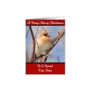  Twin Sister Cardinal Merry Christmas Card Card Health 