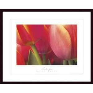     Tulips   Artist Brian Twede  Poster Size 30 X 20