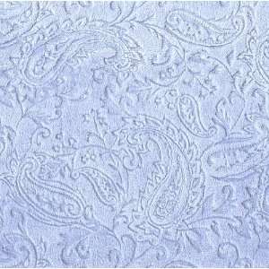  60 Wide Minky Cuddle Plush Paisley Baby Blue Fabric By 