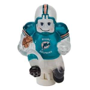  5 NFL Miami Dolphins Arcylic Running Football Player 