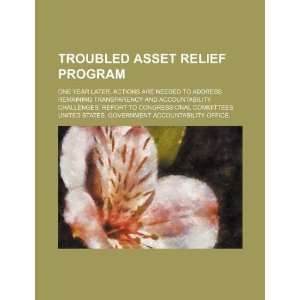  Troubled Asset Relief Program one year later 