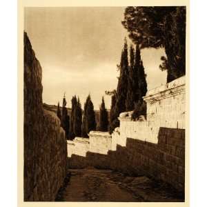  1925 Jerusalem Garden of Gethsemane Walls Photogravure 