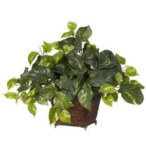   Pothos w/Coiled Rope Planter Silk Plant Green Colors   Silk Plant