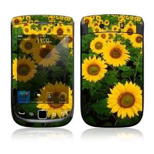  BlackBerry Torch 9800 Decal Skin   Sun Flowers Everything 