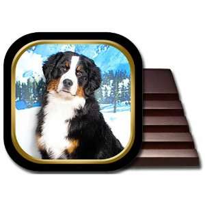 Bernese Mountain Dog Coaster Set 