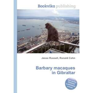 Barbary macaques in Gibraltar Ronald Cohn Jesse Russell 