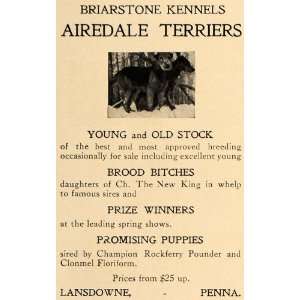  1907 Ad Airedale Terriers Briarstone Kennels Lansdowne 