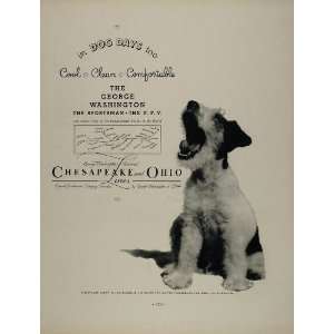   Railway Lines Dog Days Terrier   Original Print Ad