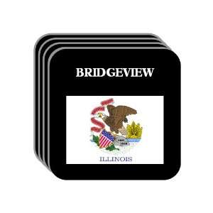  US State Flag   BRIDGEVIEW, Illinois (IL) Set of 4 Mini 