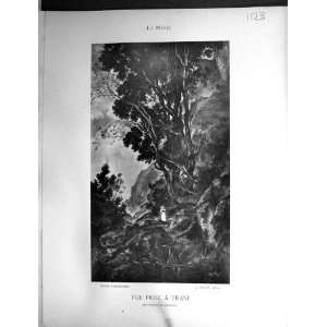   1875 Lacroix Jean Joseph Bellel Vue Prise Trani Trees