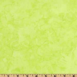  44 Wide Michael Miller Krystal Lime Fabric By The Yard 
