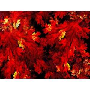  Lailas Red Leaves by Bui Khiet 18 by 24, 2 Inch Gallery 