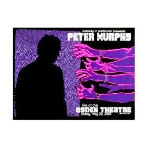  PETER MURPHY   Limited Edition Concert Poster   by Lindsey 
