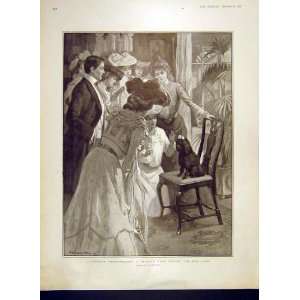  Dog Show Prize Winner Private View Hickling Print 1902 