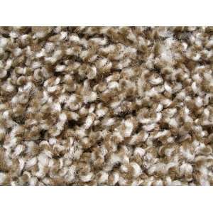  6x66 FRIEZE textured CARPET for residential or 