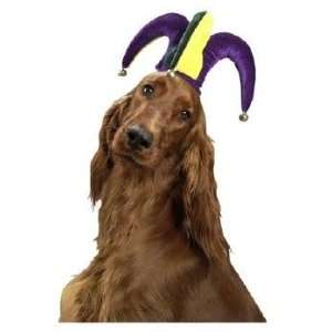  *Dog Jester Collar with Pumpkin Bells Pet Costume Kitchen 