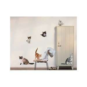  Removable Wall Decor   Cats