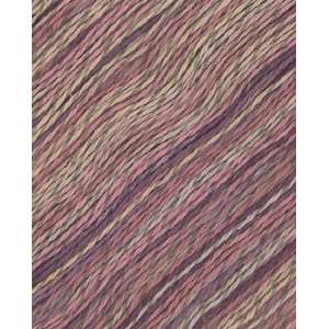  Berroco Linsey Colors Yarn 6503 Oak Bluffs Arts, Crafts 