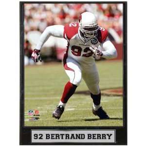   Arizona Cardinals Bertrand Berry 9x12 Plaque 2