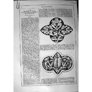  Art Journal 1870 Plant Maple Thorn Apple Daisy Hawthorn 