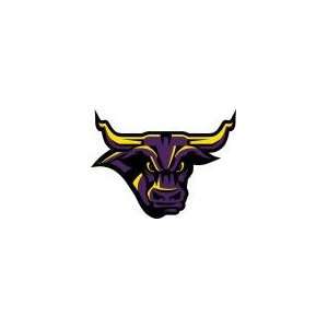  DECAL C MSU MANKATO   9.2 x 7