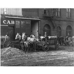  Mule drawn wagon,Factory,St Louis,MO,1890s,Driver
