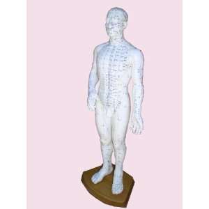  Male Acupuncture Model 20 with Chinese and English Points 