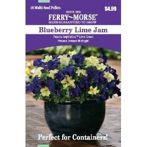 Ferry Morse 2178 Container Combinations, Petunia Blueberry Lime Jam