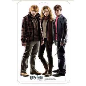  Advanced Graphics 1048D Mini Harry Potter, Hermione, Ron 