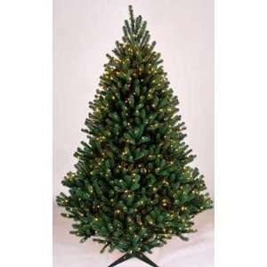  7 1/2 Emerald Spruce (HINGED) 1/2 PRICE