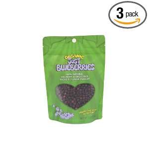 Just Tomatoes Organic Just Blueberries, 2 Ounce Pouch (Pack of 3 